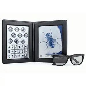 Stereo Fly Test - Depth Perception